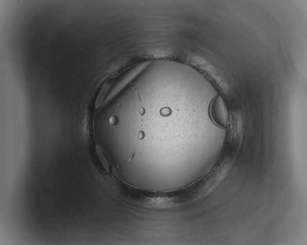 X0000101990212200808011108