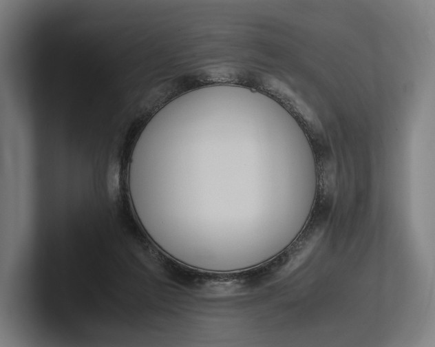 X0000101990213200808011108