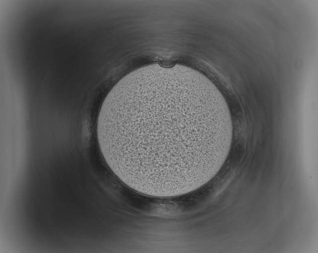 X0000101990215200808011108