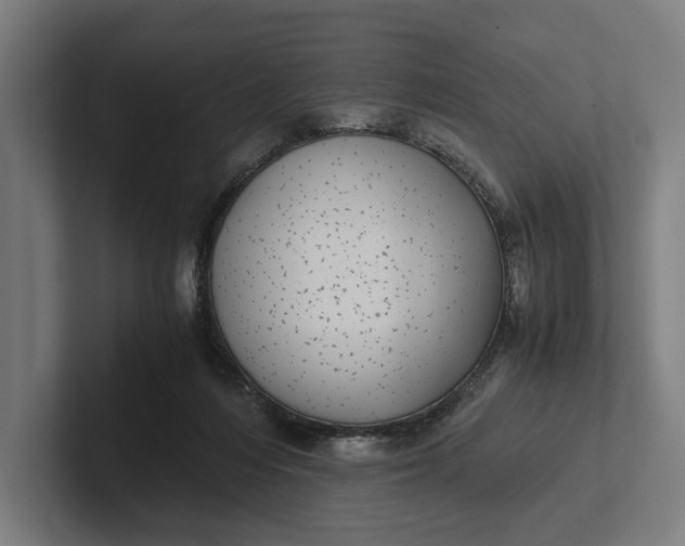 X0000101990216200808011108