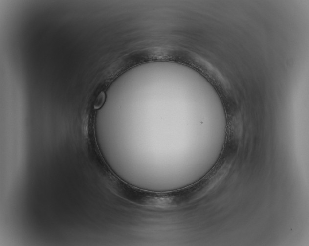 X0000101990217200808011108