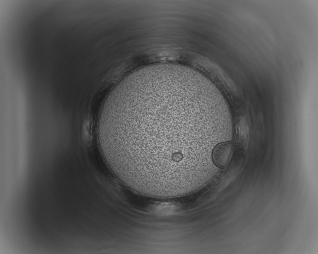 X0000101990218200808011108