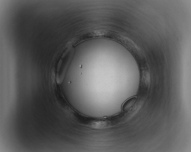 X0000101990220200808011108