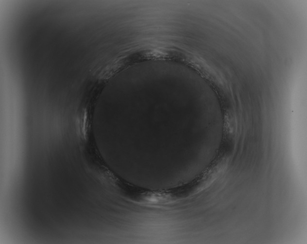 X0000101990223200808011108