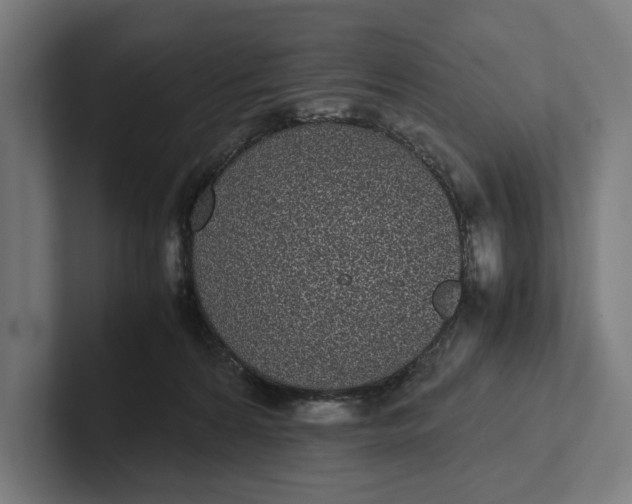 X0000101990224200808011107