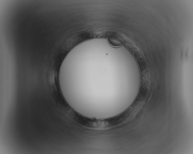 X0000101990225200808011107