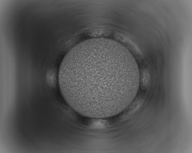 X0000101990226200808011107