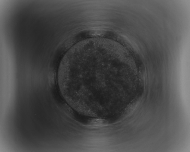 X0000101990227200808011107