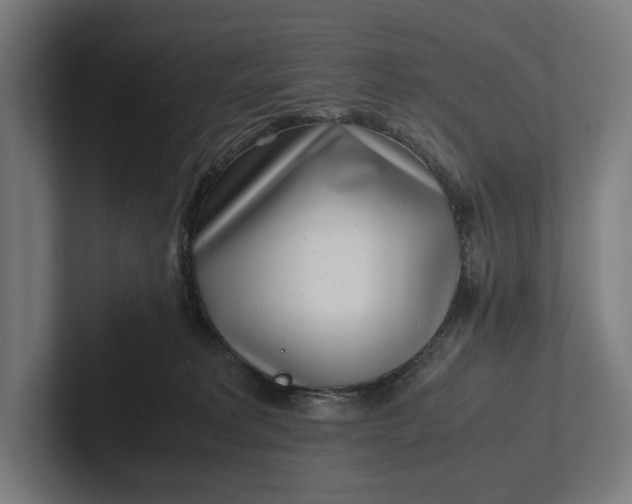 X0000101990229200808011107