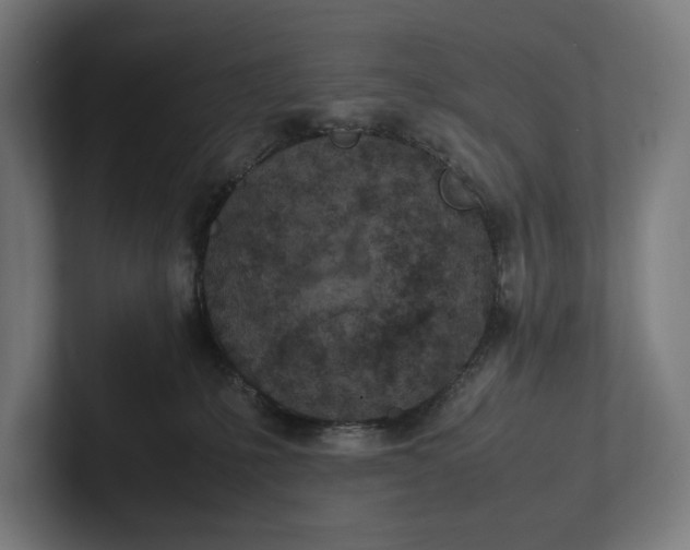 X0000101990231200808011107