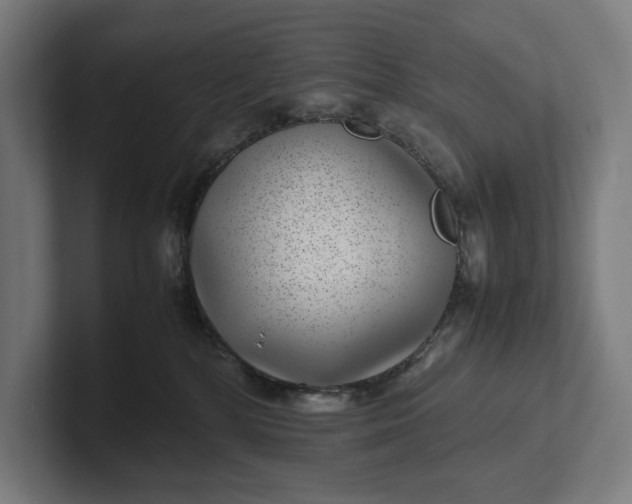 X0000101990232200808011107