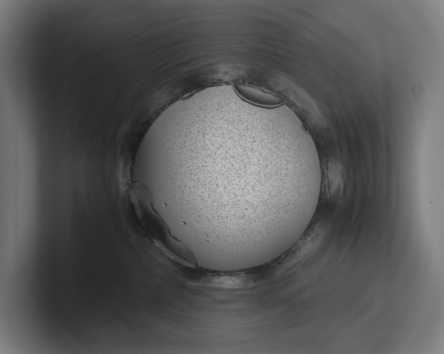 X0000101990236200808011107