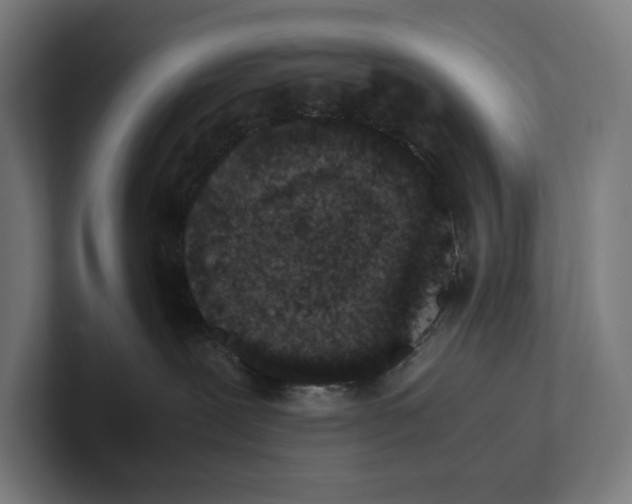 X0000101990239200808011107