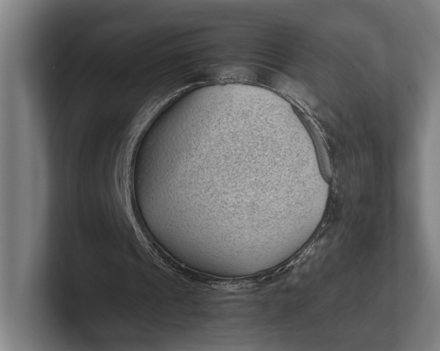 X0000101990241200808011107