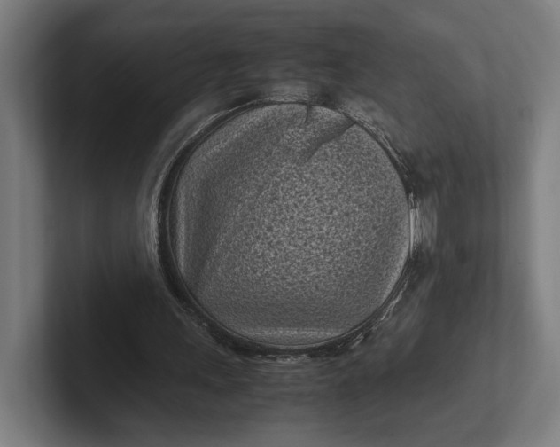 X0000101990243200808011107