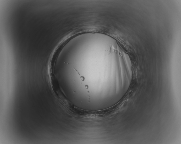 X0000101990244200808011107