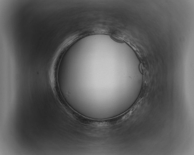 X0000101990245200808011107