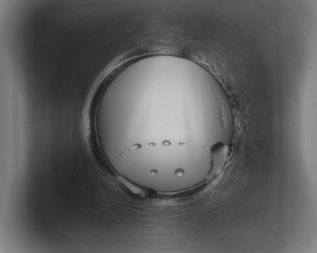 X0000101990246200808011107