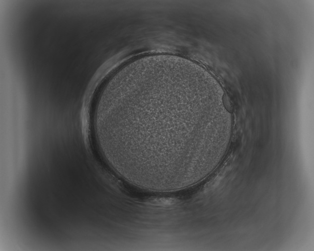 X0000101990247200808011107