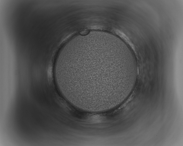 X0000101990249200808011107