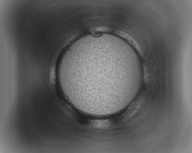 X0000101990251200808011107