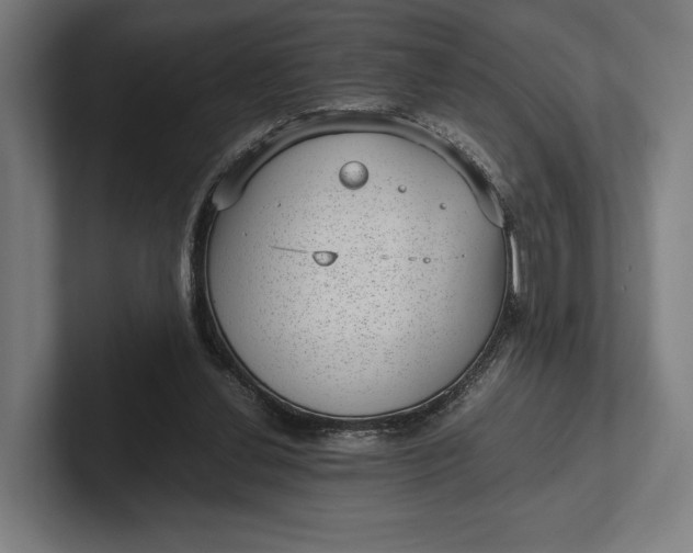 X0000101990252200808011107