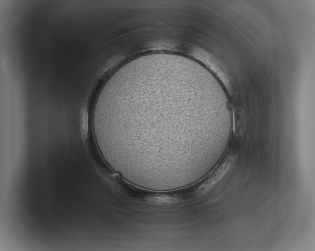 X0000101990253200808011107