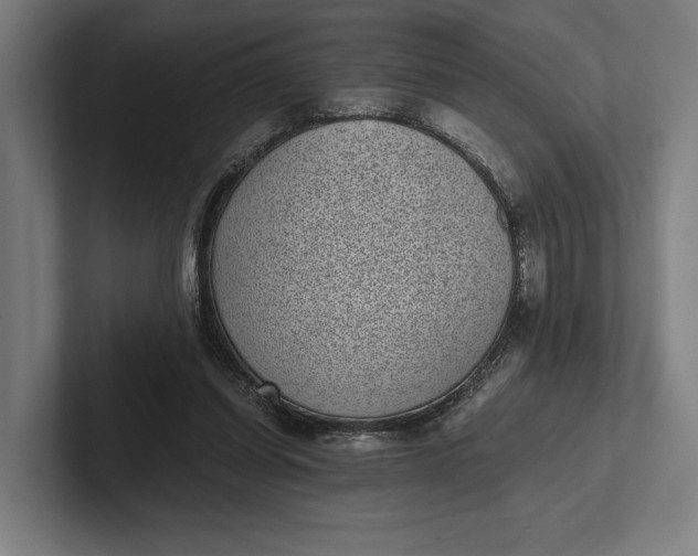 X0000101990254200808011107