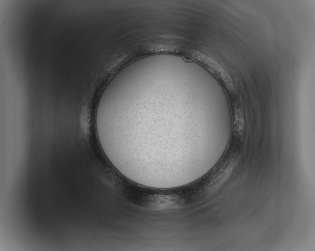 X0000101990255200808011107