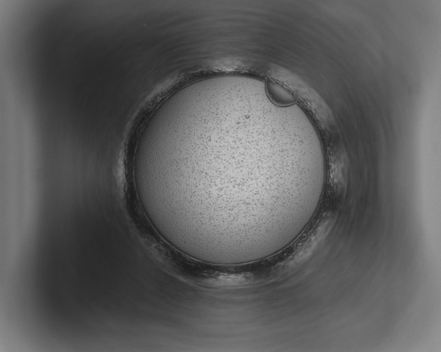 X0000101990256200808011107