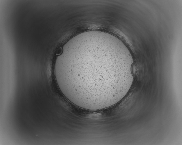 X0000101990257200808011107