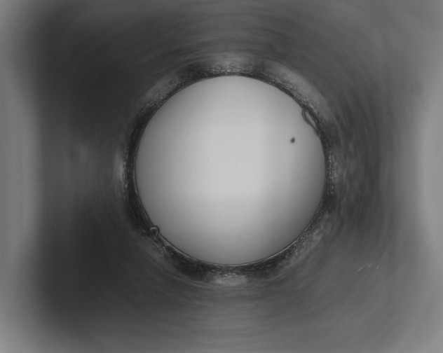 X0000101990258200808011107