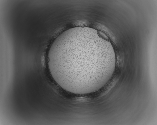 X0000101990259200808011107