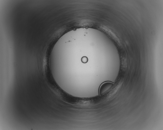 X0000101990260200808011107