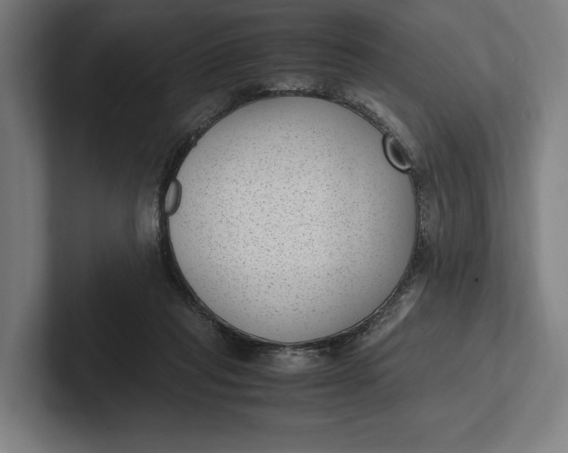 X0000101990261200808011107