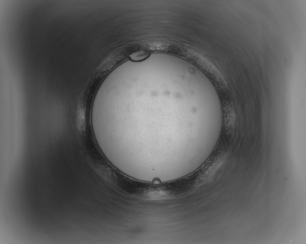 X0000101990262200808011107