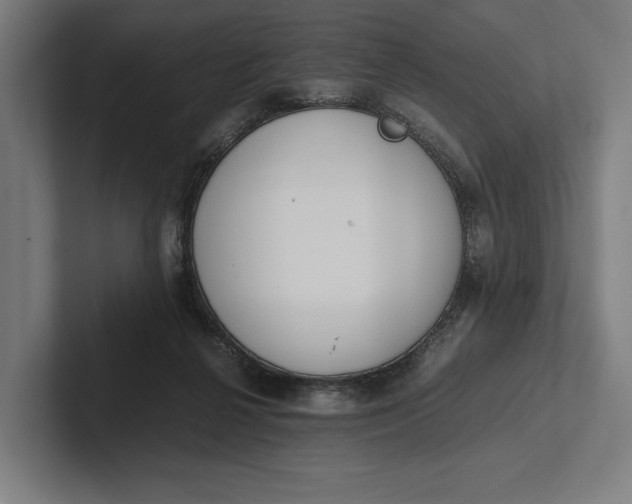 X0000101990264200808011107