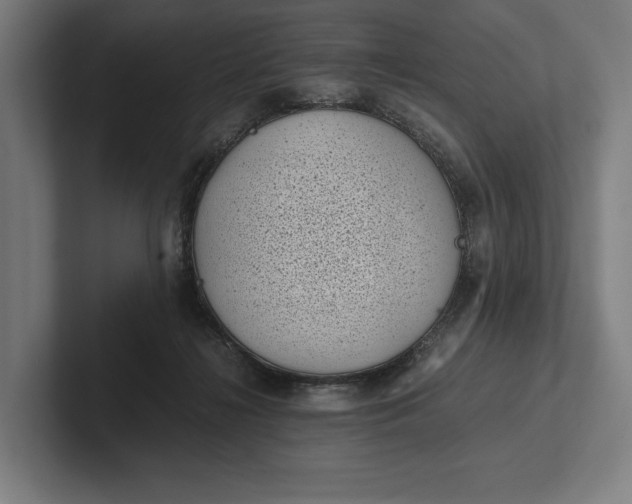 X0000101990268200808011107