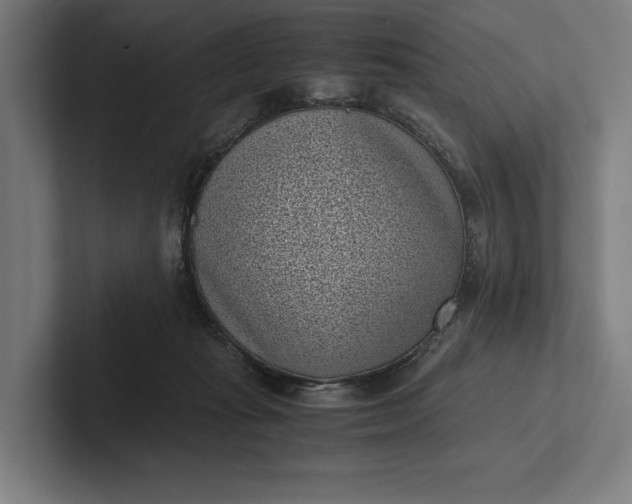 X0000101990269200808011107