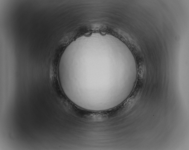 X0000101990272200808011107