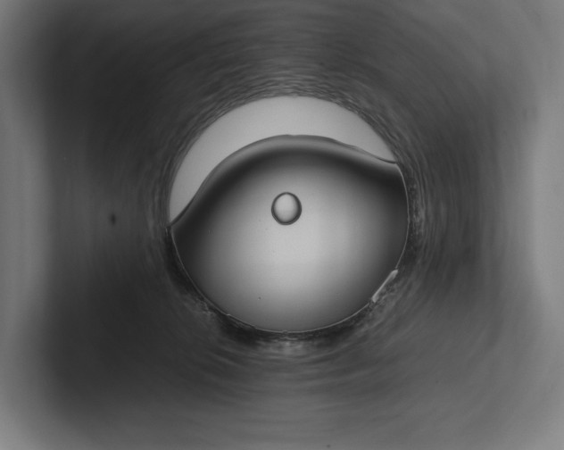 X0000101990276200808011107