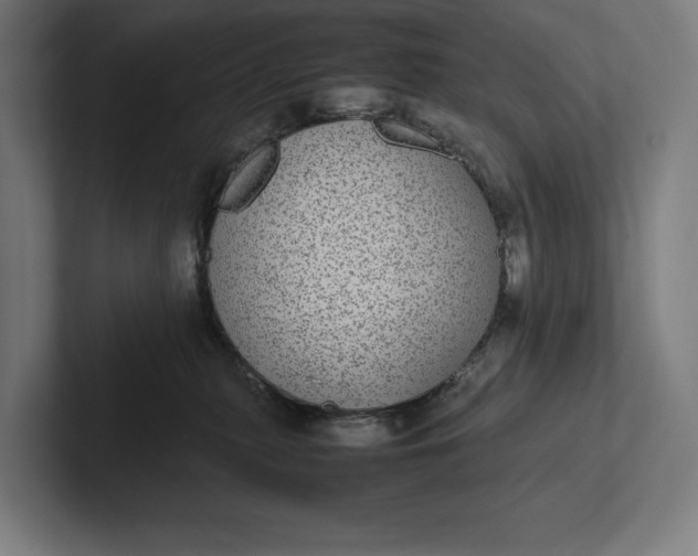 X0000101990279200808011107