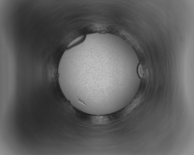 X0000101990281200808011107