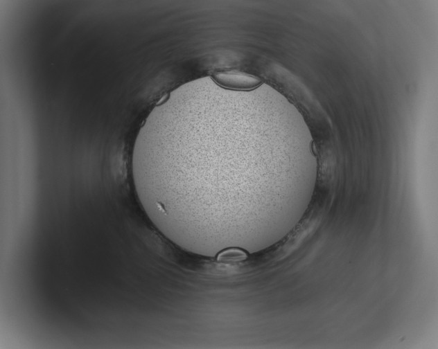 X0000101990282200808011107