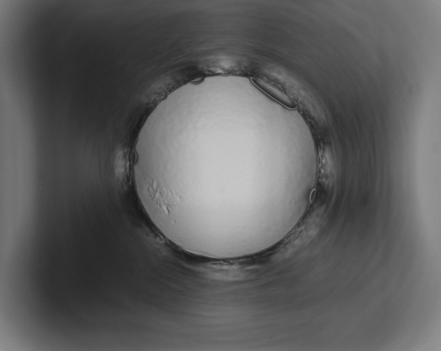 X0000101990284200808011107