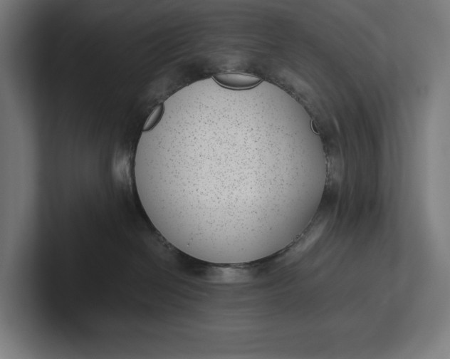 X0000101990286200808011107