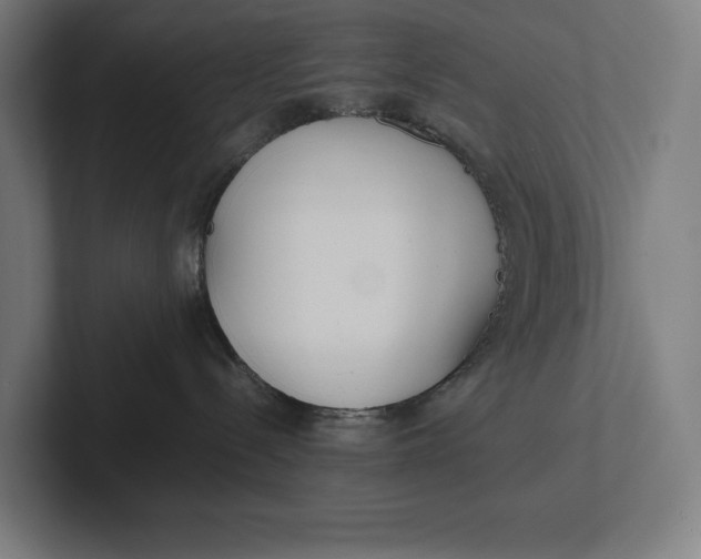 X0000101990288200808011107