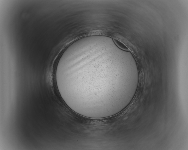 X0000101990290200808011107