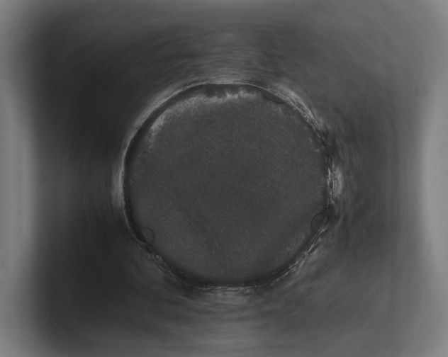 X0000101990292200808011107