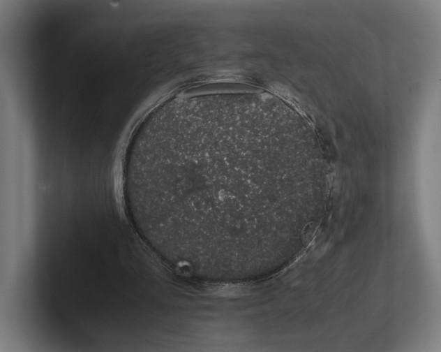 X0000101990293200808011107